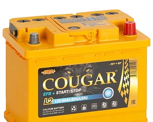 1100 E Аккумуляторная батарея COUGAR EFB START STOP L2 6СТ-60 (650A) EN