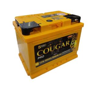 1100 E Аккумуляторная батарея COUGAR PRO 6СТ-60 (600А) EN